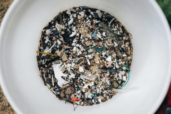 Mikroplastik w organizmie pod lupą. Ten preparat może pomóc go zatrzymać 