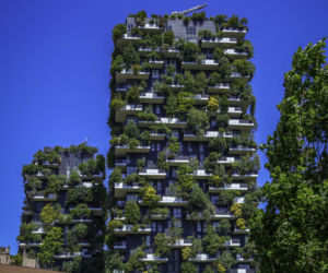 Jak fasady kształtują miejski mikroklimat?