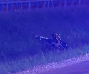 Śmiertelny wypadek z udziałem motocyklistów w Warszawie