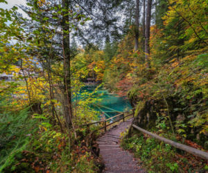 Blausee Jezioro w Szwajcarii