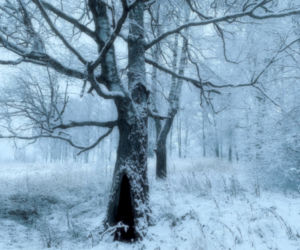 Piękny zimowy krajobraz może okazać się pułapką. Uważaj na zagrożenie!
