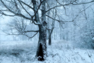 Piękny zimowy krajobraz może okazać się pułapką. Uważaj na zagrożenie!