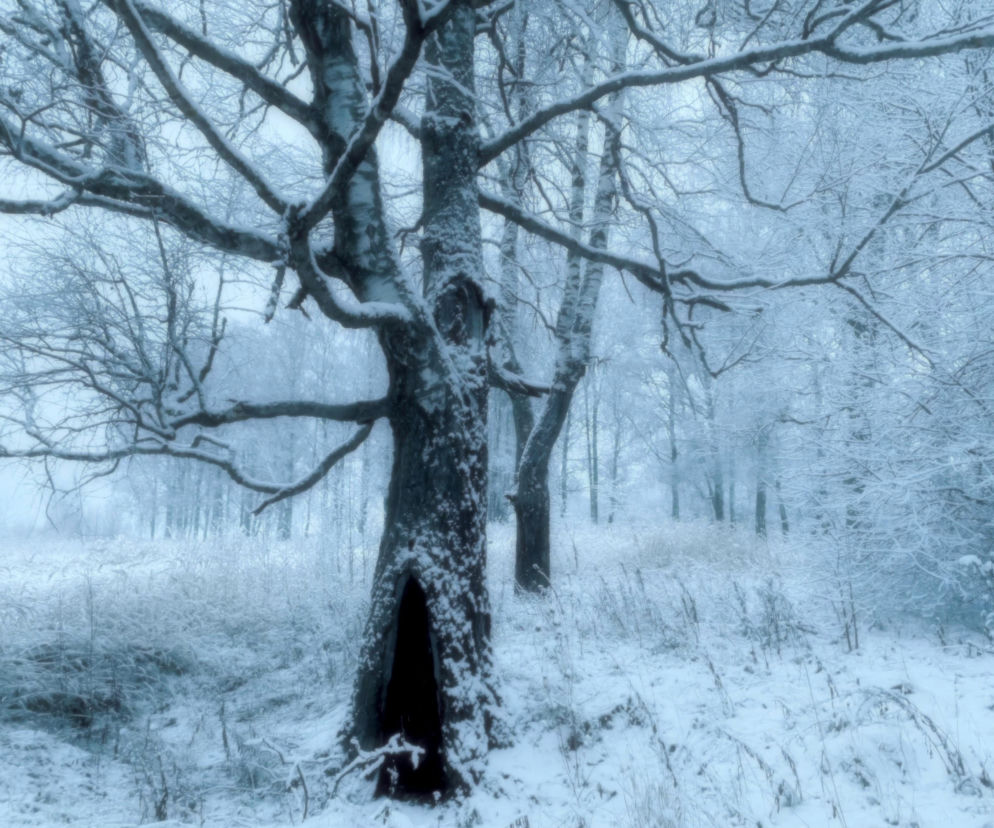 Piękny zimowy krajobraz może okazać się pułapką