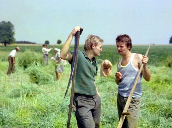 Kazimierz Mazur i  Katarzyna Gärtner - dorobek życia spłonął na ich oczach