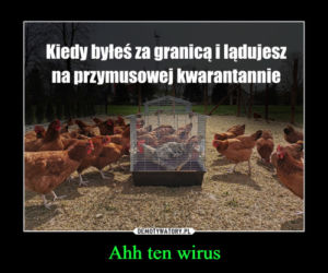 Memy o koronawirusie