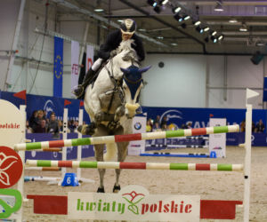 Cavaliada 2019 w Lublinie