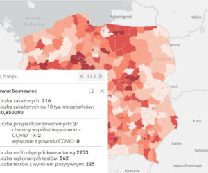 Koronawirus w województwie śląskim. Tak wygląda sytuacja w poszczególnych powiatach [RAPORT, 19 MARCA]