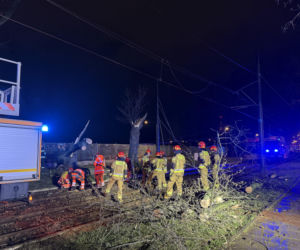 Powalone drzewa i awarie prądu w części województwa
