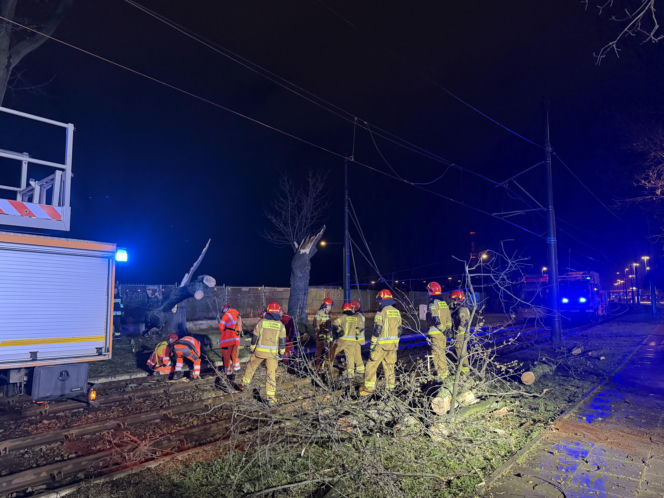 Powalone drzewa i awarie prądu w części województwa
