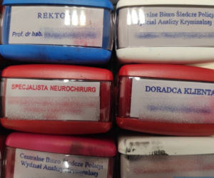 Czarna Wdowa z Sandomierza. Zabiła policjantkę, oszukała media i policję. I nie wiadomo, dlaczego [ZDJĘCIA]