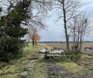 Wichura w Łódzkiem 17.02