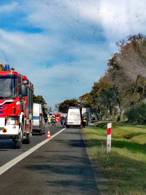 Tragiczny wypadek w Ostaszewie. Nagły manewr i straszna śmierć kierowcy