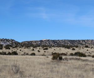 Epstein miał nie tylko wyspę! To rancho jak z horroru