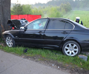 Tragiczny wypadek na DK 22. BMW uderzyło w drzewo. Kierowca chciał uniknąć zderzenia z sarną. Zginął 29-latek [ZDJĘCIA]