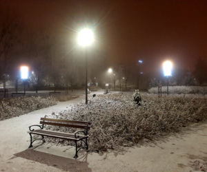 Ze szronem są jeszcze piękniejsze! Świąteczne iluminacje w Łomży