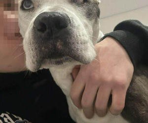 16-letnia Dira zaginęła w mrozie. Leżała w polu i nie mogła wstać