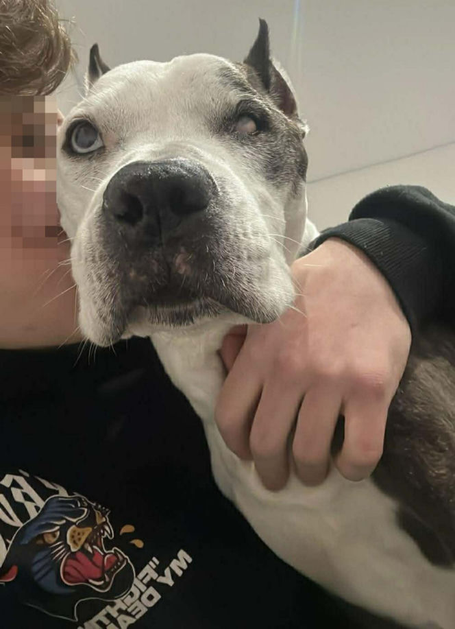 16-letnia Dira zaginęła w mrozie. Leżała w polu i nie mogła wstać