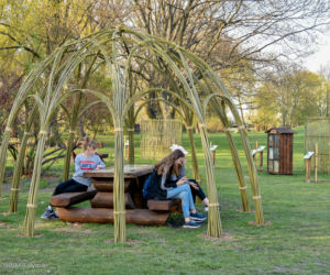 Sad edukacyjny w Parku Antoniuk już gotowy. Posadzono tam m.in. drzewa owocowe i krzewy [ZDJĘCIA]