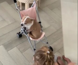 Gwiazdy lansują się w internecie