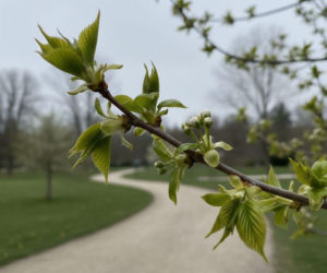 Pogoda na weekend w Łodzi 3-5 kwietnia. Po chłodnej sobocie nadejdzie wyraźne ocieplenie