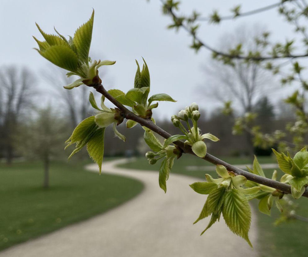 AI zdjęcie do artykułu