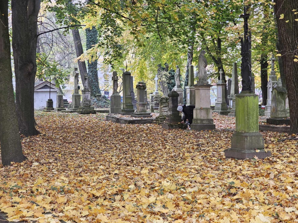 Jak wygląda najstarszy cmentarz w Rzeszowie przed 1 listopada