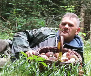 Król starachowickich lasów Samotny Wilk