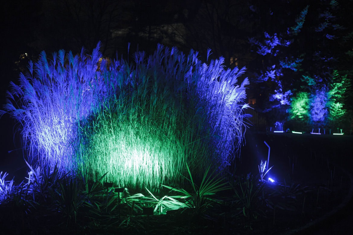 Lasery, muzyka i kolorowe iluminacje w Ogrodzie Botanicznym we Wrocławiu