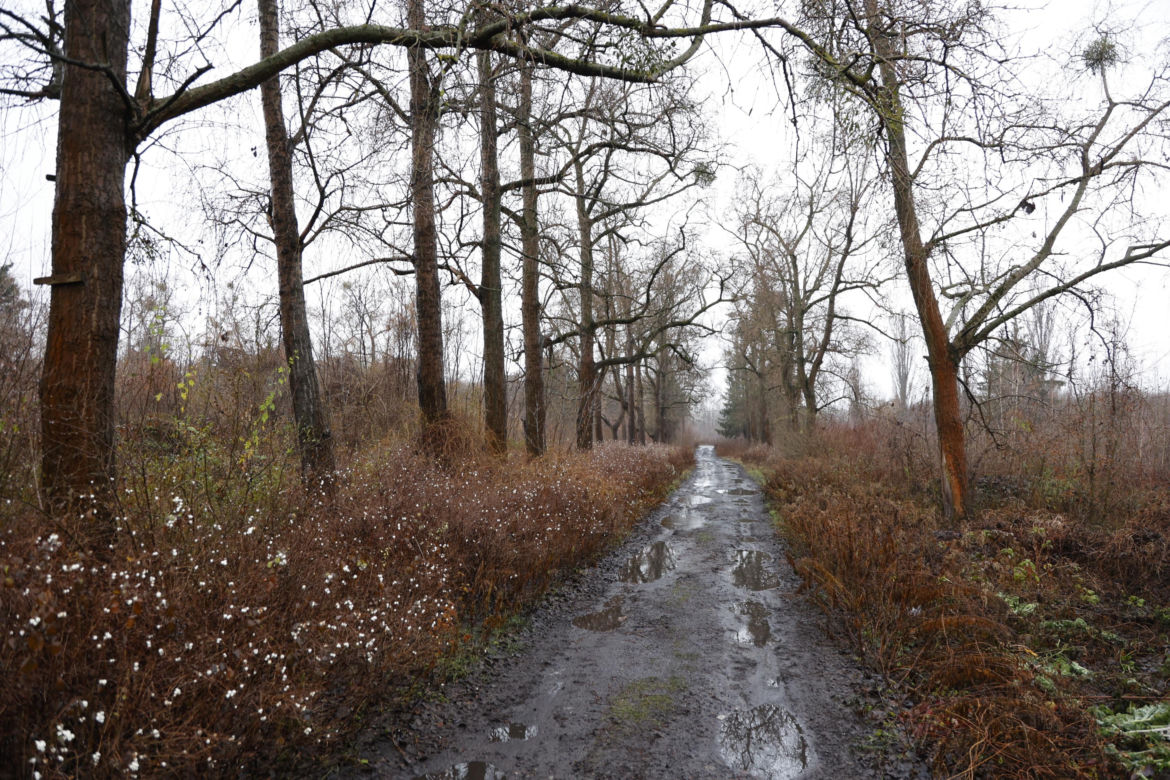 Fort Szczęśliwice przed rewitalizacją