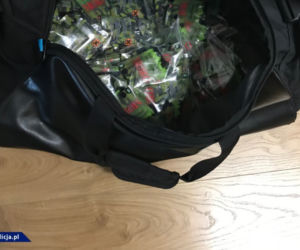 Gang handlarzy dopalaczami we Wrocławiu rozbity