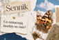Insekty we śnie – co oznaczają i jak je rozumieć?