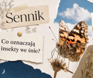 Insekty we śnie – co oznaczają i jak je rozumieć?