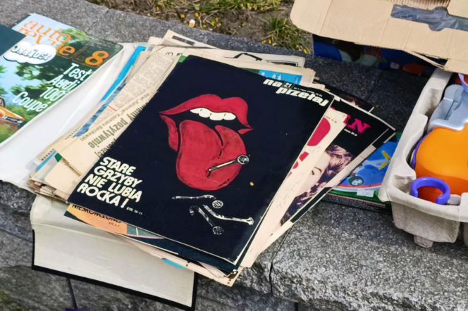 Pchli targ na Pogodnie