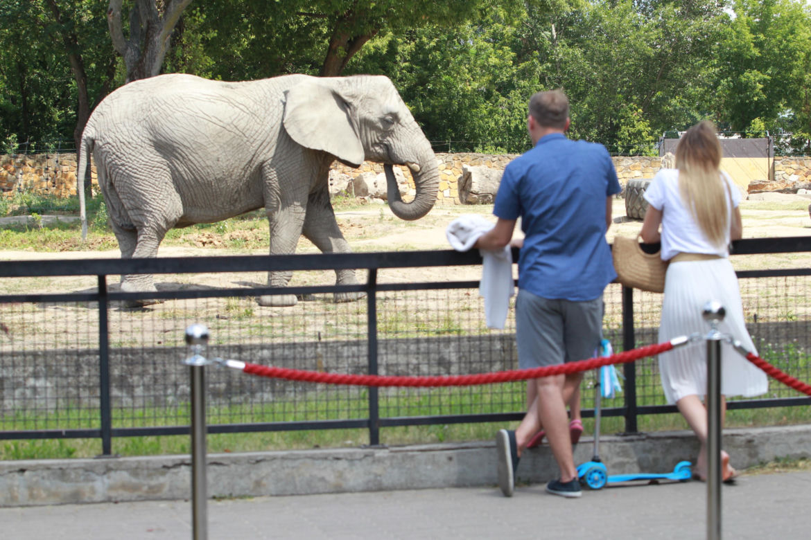 Warszawskie zoo