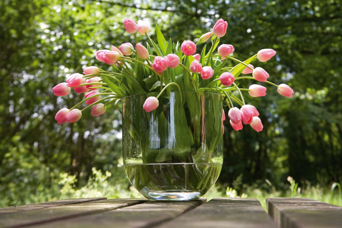 Tulipany