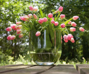 Tulipany