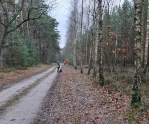 Łódzkie: ZARZĄDZANIE KRYZYSOWE W AKCJI. Około 80. osób przeszukiwało w weekend lasy