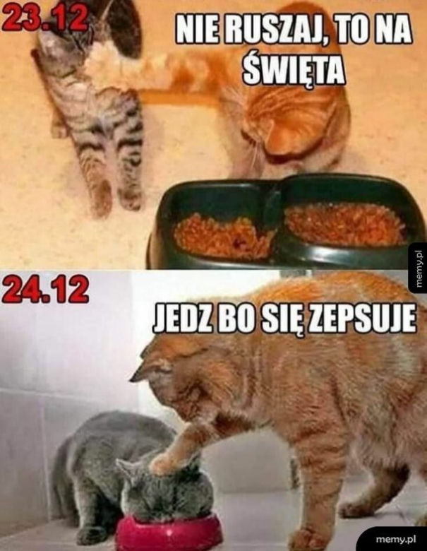 MEMY na Święta Bożego Narodzenia 2022. Nie przestaniesz się śmiać!