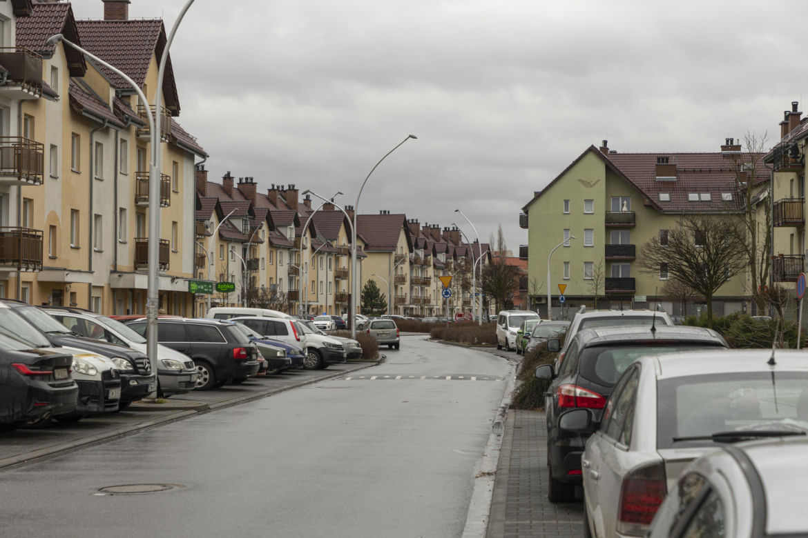 Zagryziona sarna, biegające luzem groźne psy. Psychoza na Brochowie we Wrocławiu 