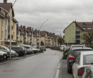 Zagryziona sarna, biegające luzem groźne psy. Psychoza na Brochowie we Wrocławiu 