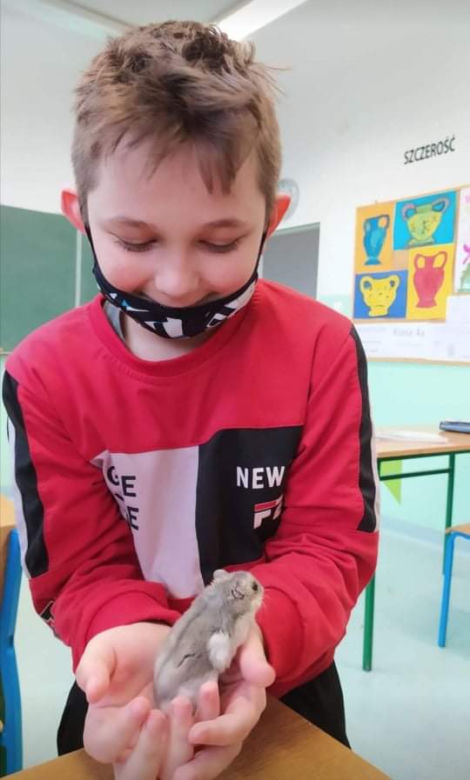 RODOTERAPIA - czyli terapia gryzoniami w Szkole Podstawowej Specjalnej nr 19 w Kaliszu
