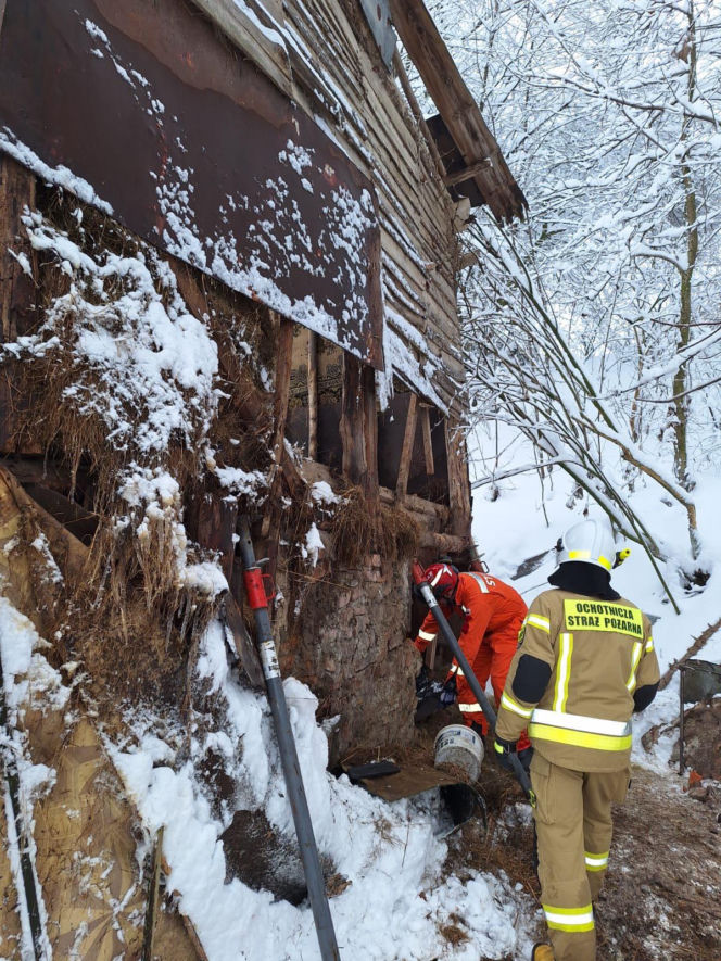 Dach stodoły runął pod naporem śniegu. W środku były zwierzęta