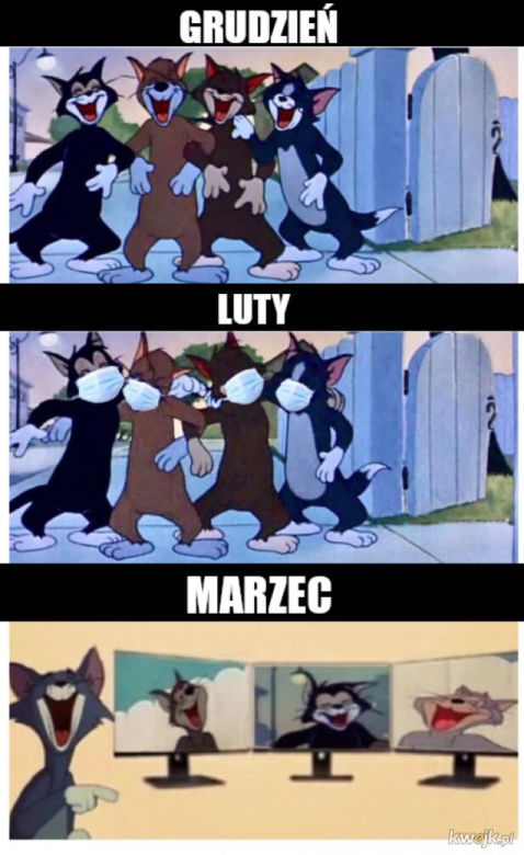 Memy o kwarantannie