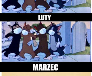 Memy o kwarantannie
