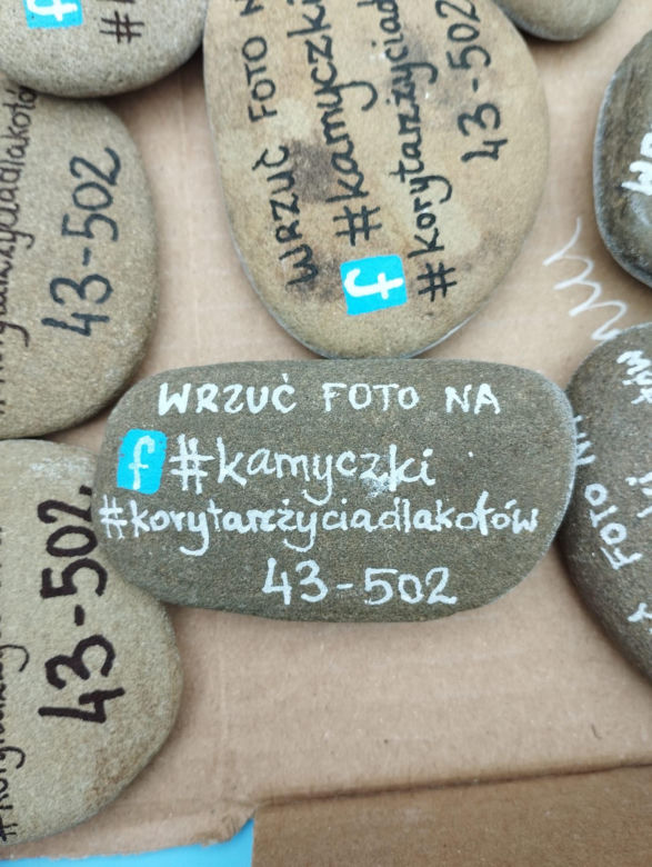 Korytarz Życia dla Kotów to akcja fundacji "Mam kota na punkcie psa" z Czechowic-Dziedzic