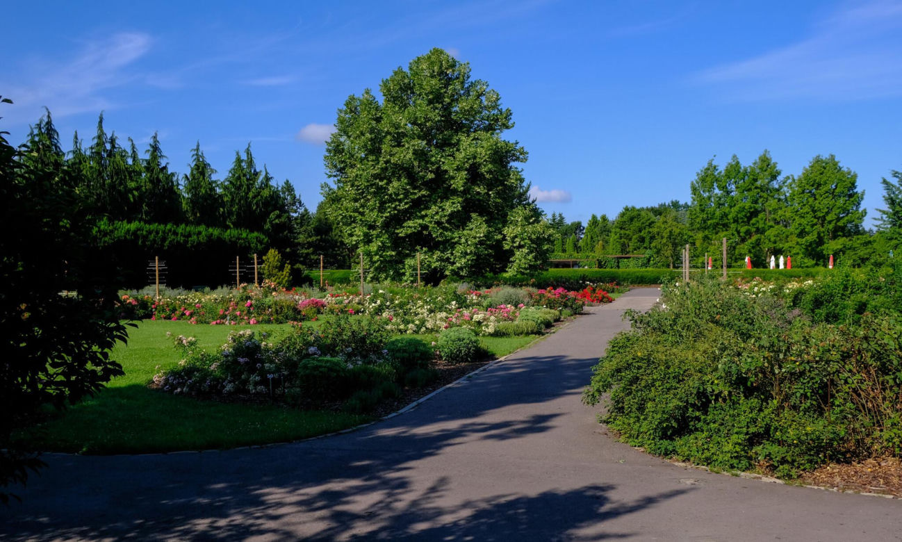 Ogród Botaniczny PAN w Powsinie