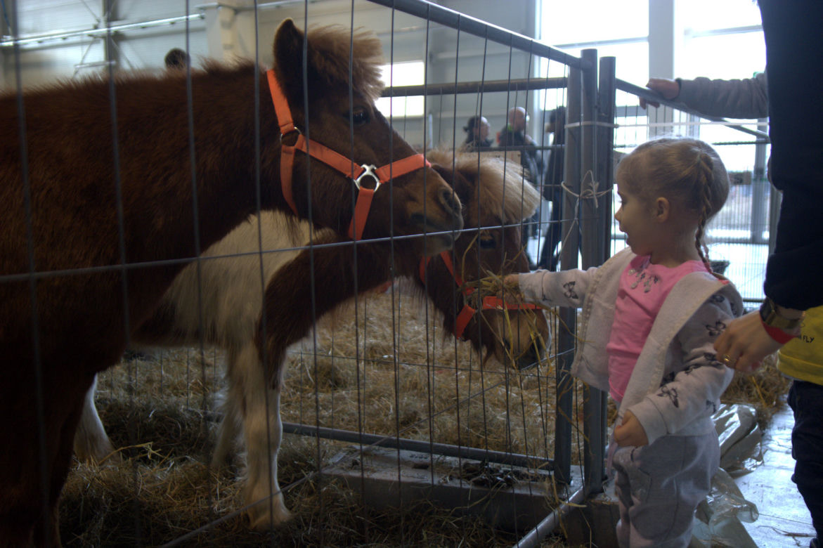 ZOOPARK 2019 w Lublinie. Wystawa pełna niezwykłości. Zobacz zdjęcia!