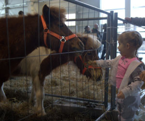 ZOOPARK 2019 w Lublinie. Wystawa pełna niezwykłości. Zobacz zdjęcia!