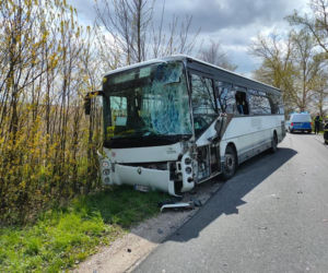 Zderzenie autobusu z dostawczakiem pod Bydgoszczą! Na miejscu trzy zastępy straży pożarnej [ZDJĘCIA] 