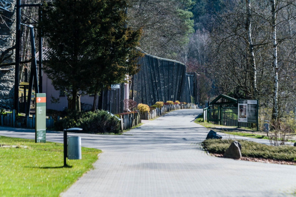 Koronawirus w Trójmieście. ZOO zamknięte na czas kwarantanny